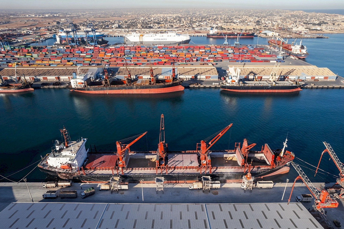 Libya Ties Companies' Foreign Currency Ceiling to Economic Activity