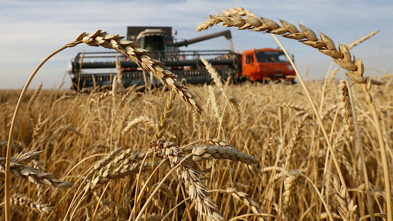 Wheat, Corn Hit Three-Year Highs as Food Inflation Risks Mount
